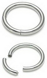 Painful Pleasures UR193-18g-seg 18g Stainless Steel Segment Ring