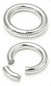 Painful Pleasures UR212-8g-seg 8g Stainless Steel Segment Ring