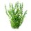 Aspire Beautiful Artificial Plant Decoration for Fish Tank