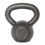 Power Systems 22802 Kettlebell Prime 10 lb.