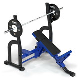 Power Systems 40865 Sierra Olympic Incline Bench
