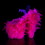 Clr/Neon H. Pink Marabou Feather