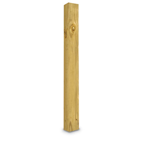 Postal Products Unlimited N1028287 48" 4 x 4 Green Treated Wood Post