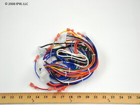 Nordyne M0036007R Wiring Harness