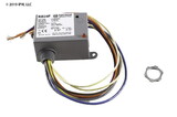 Functional Devices RIB24P 24VAC/DC 20A DPDT Encl. Relay
