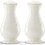 Lenox 830293 French Perle White&#153; Salt and Pepper Shaker Set
