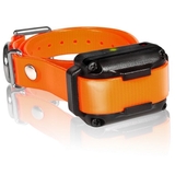 Dogtra IQ-PLUS-RX IQ Plus Additional Receiver Orange Strap