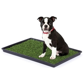 Prevue Hendryx PP-500 Tinkle Turf - Small