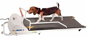 GoPet PR720F PetRun PR720F Dog Treadmill