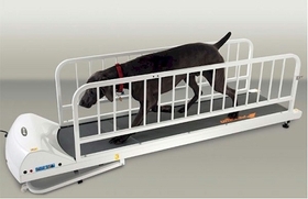 GoPet PR725 PetRun PR725 Dog Treadmill