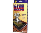 Atlantic Paste 1402 Rat Sized Glue Trap - 2 Pack