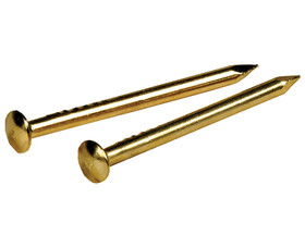 Hillman Group 122618 1/2" X 18" Brass Plated Escutheon Pin
