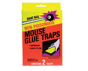 J.T. Eaton 288 8 Ball Mouse Size Glue Traps