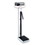Detecto 349 Eye Level Physician Beam Scale W/ Height Rod & Hand Post