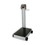 Detecto 5852F-205 Portable Digital Platform Scale with 205 Indicator