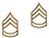 Rothco Sergeant First Class Polished Insignia Pin