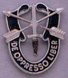Rothco 1541 Special Forces Crest Pin