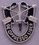 Rothco Special Forces Crest Pin