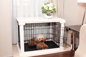 Zoovilla PTH0251720100 Cage with Crate Cover, White, Large