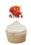 Creative Converting 015012 Dino Blast Cupcake Topper (Case of 144), Price/Case