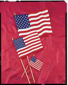 Creative Converting 04261B Cloth Flag, 12" X 18" United States (Case of 12)