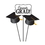Creative Converting 261306 Graduation D&#233;cor Grad Centerpiece Sticks, CASE of 36