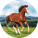 Creative Converting 339760 Horse And Pony Dinner Plate (Case Of 12)