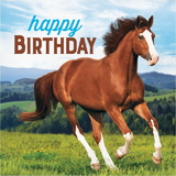 Creative Converting 339763 Horse And Pony Luncheon Napkin, Happy Birthday (Case Of 12)