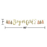 Creative Converting 351510 Pink, Blue, And Gold Boy Or Girl Tassel Banner
