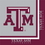 Creative Converting 664848 Texas A &amp; M 2-Ply Lunch Napkins (Case of 240), Price/Case