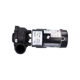 Waterway 3420820-1A Pump, Waterway Executive 48, 2.0HP, 230V, 10.5/2.6A, 2-Speed, 2"MBT, SD, 48-Frame