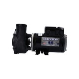 Waterway 3421221-1A Pump, Waterway Executive 48, 3.0HP, 230V, 8.4/2.6A, 2-Speed, 2
