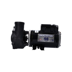 Waterway 3421221-1A Pump, Waterway Executive 48, 3.0HP, 230V, 8.4/2.6A, 2-Speed, 2"MBT, SD, 48-Frame