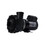 Waterway 3421221-1A Pump, Waterway Executive 48, 3.0HP, 230V, 8.4/2.6A, 2-Speed, 2"MBT, SD, 48-Frame