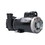 Waterway 3722021-1D Pump, Waterway Executive 56, 5.0HP, 230V, 16.4/4.8A, 2-Speed, 2"MBT, SD, 56-Frame