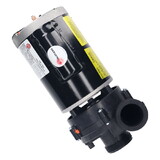 Balboa 5235212-S Pump, Balboa, 230V, 56 Frame, 3.0HP, 2-Speed, 12/3.5 Amps -2