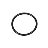 Waterway 805-0123 O-Ring, Used on 1