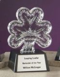 Custom Waterford Crystal Shamrock Award