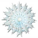 Custom Dip Dyed Snowflakes, 17