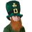 Custom Plush Leprechaun Hat w/ Beard, Price/piece