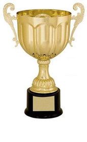 Custom Gold Plated Aluminum Cup Trophy w/ Plastic Base (10 3/4")