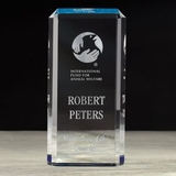 Custom Paragon Acrylic Award w/ Ice Blue Mirrored Reflector (9 1/2