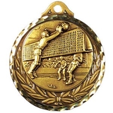 Custom Stock Volleyball Medallions /2 3/4