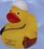Custom Traveler Leisure Duck, Price/piece