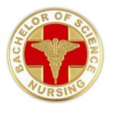 Blank Bachelor Of Science Nursing Pin, 1