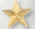 Custom Star Award Pin
