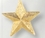 Custom Star Award Pin, Price/piece