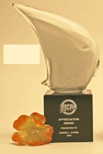 Custom Environmental Safety Glass Award (6"x6.5")