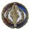 Custom 2 1/2" Color Epoxy Medallion Victory In Gold, Price/piece