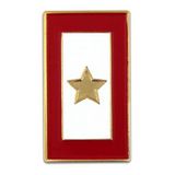 Blank Military - Gold Star Service Flag Pin, 1